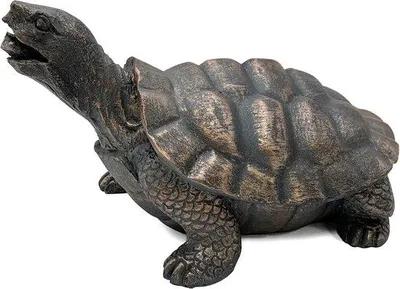 Produktbild von Famanu Teichfontäne Schildkröte - für gesunde Teiche