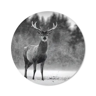 Produktbild von MuchoWow® Mauspad Mousepad Tiere - Hirsche - Winter - Schwarz - Weiß 40x40 cm - Mousepads - Maus Mat - Pad - Mausunterlage - Schreibtisch Accessoires