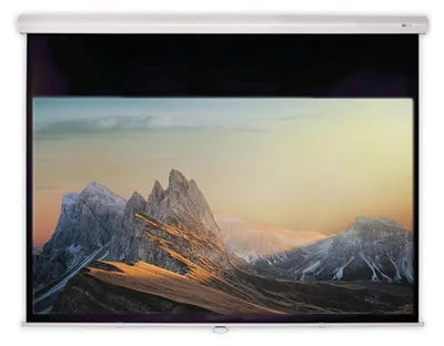 Produktbild von DELUXX Advanced Rolloleinwand Slowmotion 4:3 Mattweiss Polaro 171 x 128 cm