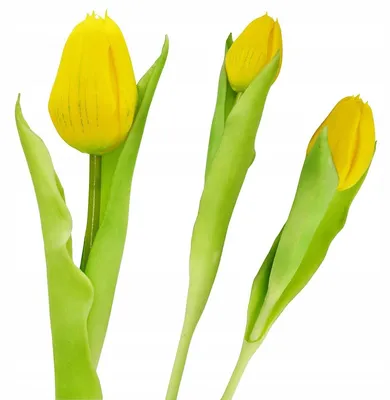 Zdjęcie produktu dla Sztuczny tulipan, żółty, silikonowy, realistyczny kwiat sztuczny, 31 cm, dekoracja wiosenna