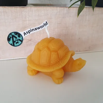 Produktbild von Schildkröten Kerze 4 cm 100% Bienenwachs