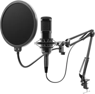 Obrázek produktu pro Niceboy Voice Handle Kondenzátorový studiový mikrofon
