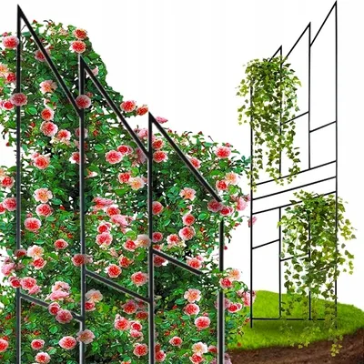 Image de Jardin Terrasse Pergola pour rosiers - Idéal acier noir Support de plantes