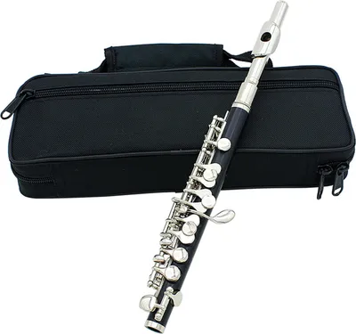 Zdjęcie produktu dla Flet Piccolo Ottavino Half Size C Key Tone z polską ściereczką do czyszczenia sztyftu Futerał Śrubokręt
