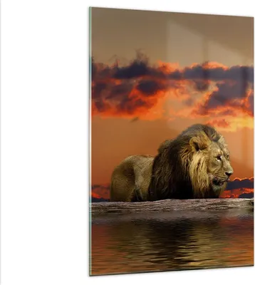 Produktbild von Bilder auf glas - Einteilig - Löwe Sonne Landschaft - 80x120cm - Glasbilder - Wandbilder - Bilder - zum Aufhängen bereit - Wanddekoration aus Glas - Glas Bilder - Wandbild auf Glas - GPA80x120-0230