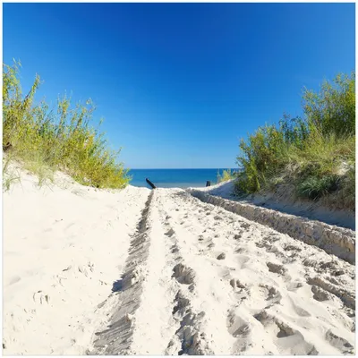 Produktbild von Wallario Premium Glasbild, freischwebende Optik, kräftige Farben, Größe 30 x 30 cm Motiv Auf dem Sandweg zum Strand - Blauer Himmel über dem Meer