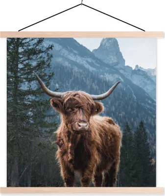 Produktbild von MuchoWow® Textilposter Kuh - Schottisches Hochlandrind - Natur 40x40 cm mit holzfarbenen Rahmen - Posterleiste
