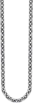 A close-up studio shot of a silver chain.