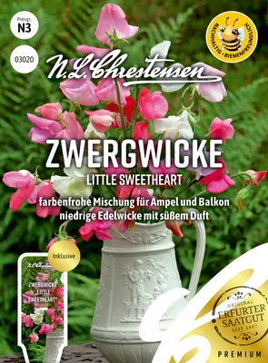 Artikelbild 1 von 'Zwergwicke Little Sweetheart' aus der Kategorie Wickensamen