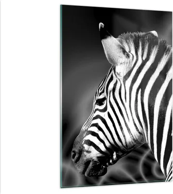 Produktbild von Bilder auf glas - Einteilig - Tier Zebra Streifen - 80x120cm - Glasbilder - Wandbilder - Bilder - zum Aufhängen bereit - Wanddekoration aus Glas - Glas Bilder - Wandbild auf Glas - GPA80x120-0300
