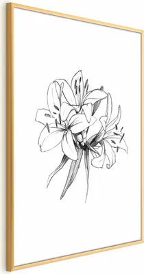 Produktbild von Posterpapier Poster - Drawn Flowers 29.7x42 cm Blumen b-A-0404-ao-a