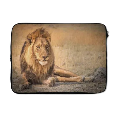 Produktbild von MuchoWow® Laptop Hülle 13 Zoll Löwe - Nahaufnahme - Savanne Laptoptasche - Laptophülle - Sleeve - Rundumschutz