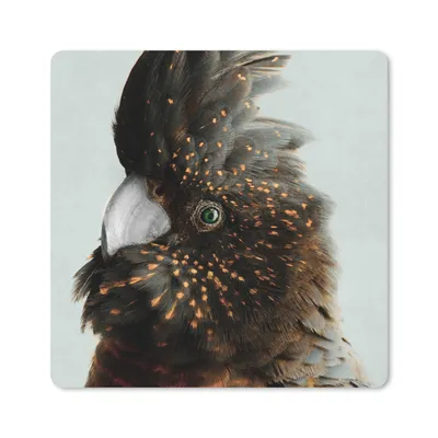 Produktbild von MuchoWow® Mauspad Mousepad Kakadu - Orange - Braun 20x20 cm - Mousepads - Maus Mat - Pad - Mausunterlage - Desk Mat - Bureauartikeln