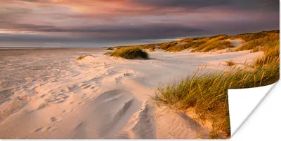 Produktbild von MuchoWow® Poster Strand - Sonne - Düne 150x75 cm - ohne Rahmen