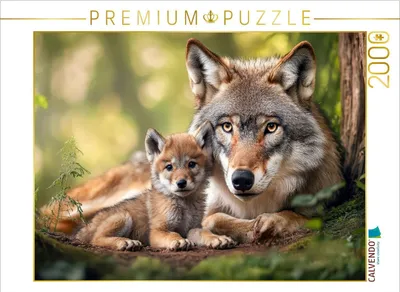 Produktbild von CALVENDO Puzzle Wölfe | 2000 Teile Lege-Größe 90x67cm Foto-Puzzle für glückliche Stunden
