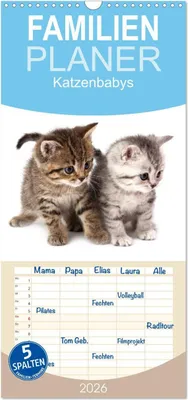 Produktbild von Familienplaner 2026 - Katzenbabys mit 5 Spalten (Wandkalender, 21 x 45 cm) CALVENDO