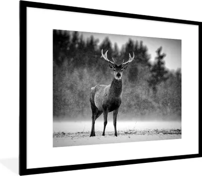 Produktbild von MuchoWow® Gerahmtes Poster Tiere - Hirsche - Winter - Schwarz - Weiß 80x60 cm - Poster mit Schwarzem Bilderrahmen Wandposter Rahmen Foto Bilder - Schlafzimmer-Dekorationen - Fotoposter
