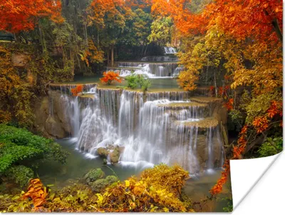 Produktbild von MuchoWow® Poster Bäume - Wasserfall - Herbst 160x120 cm - Foto Plakat