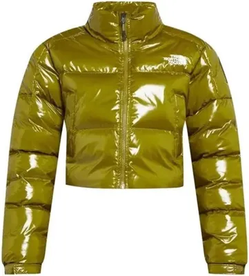 Produktbild von Jacken The North Face Rusta 2.0 NF0A852LBEB1