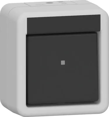 Immagine prodotto di Interruttore a bilanciere GIRA 310230 Off 2-p WG AP gr (310230)