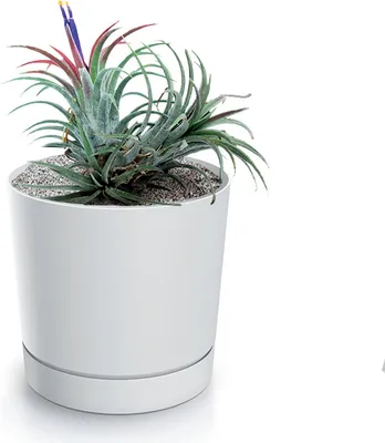 A white planter with a plant inside, set against a white background.
