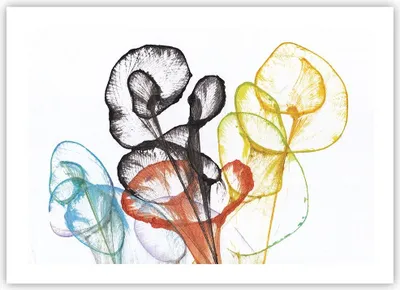 Produktbild von Poster - Poster ohne Rahmen - Blumen Abstraktion Surrealismus - 70x50 cm - Wand Bild - Wanddeko - Wandbilder - Kunstposter - Wandposter - Bilder - Kunstdruck - Wanddekoration - P2XAA70x50-4444