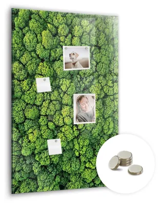 Produktbild von Dekorative Magnettafel 60x90 cm - Magnetwand - für Fotos, Karten und Notizen - Fotowand - Memoboard - Magnetpinnwand - Wanddekoration - Waldbäume Natur