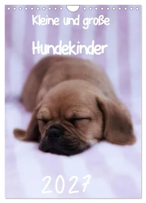 Produktbild von Kleine und große Hundekinder 2027 (Wandkalender 2027 DIN A4 hoch), CALVENDO Monatskalender
