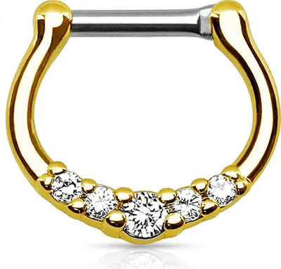 Produktbild von Nasenpiercing Septum Ring Clicker Nasenring Klapp Piercing Nase Zirkonia Kristall Chirurgenstahl gold-transparent 1,2 mm