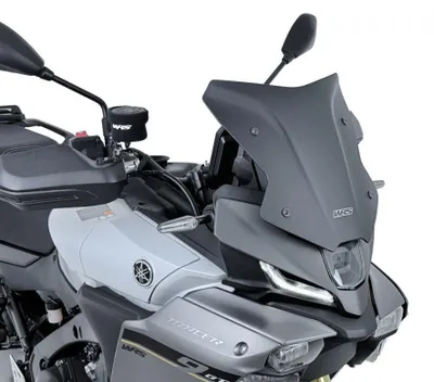Produktbild von WRS Windschutzscheibe Sport Tracer9 Gt/Gt