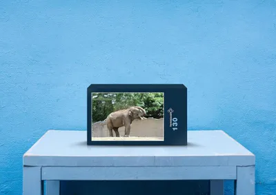 Produktbild von hansepuzzle 86670 - Elefant Puzzle, 130 Teile, Tierwelt, 28,7 x 20,0cm mit hochwertiger Aufbewahrung, Kartonbox und wiederverschließbarem Beutel
