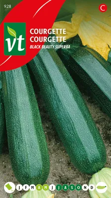 Produktbild von Zucchini Black Beauty Samen - Ca. 1,5 gr | VT_928