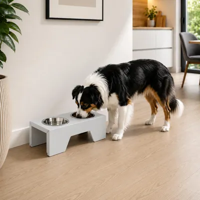 Productafbeelding van QLS Voerbakstandaard, 15 cm, metaal, voor honden en katten, grijs, artikelnummer 11511, AI-gegenereerde afbeelding