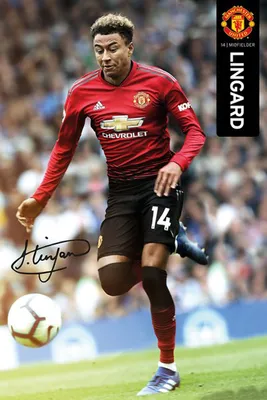 Produktbild von Fußball - Poster - Manchester United - Lingard 18/19