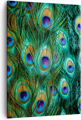 Produktbild von Bild auf Leinwand - Leinwandbild - Einteilig - Pfauen Feder Makro - 50x70cm - Wand Bild - Wanddeko - Wandbilder - Leinwanddruck - Wanddekoration - Leinwand bilder - Wandbild - PA50x70-4159