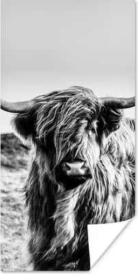 Produktbild von MuchoWow® Poster Kuh - Schottischer Hochländer - Schwarz - Weiß - Tier - Natur - Wildtiere 60x120 cm - Wandschmuck