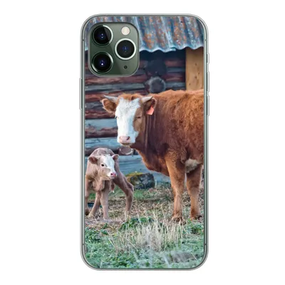 Produktbild von MuchoWow® Handyhülle Schutzhülle Hülle für iPhone 11 Pro Kuh - Stall - Gras - Kalb Silikon Softcase Handy Hülle - Handy