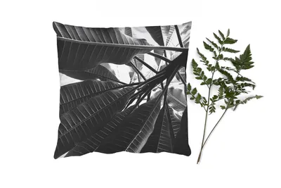 Produktbild von MuchoWow® Zierkissen Sofakissen Wohnzimmer Dekokissen 60x60 cm Palmenblatt - Tropisch - Sitzfläche - Foto Polster