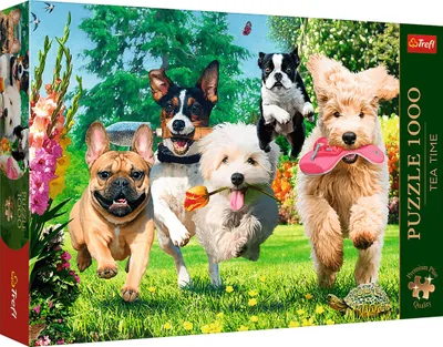 Image de Trefl 10800 puzzle Jigsaw puzzle 1000 pc(s) Animals