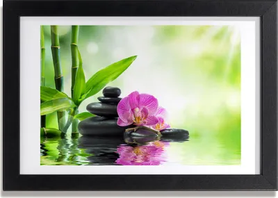 Produktbild von Bild 30x20 MDF-Rahmen, Wandkunst Orchidee