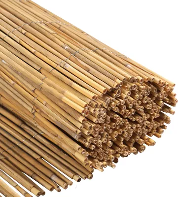Produktbild von Faziango Schilfrohrmatte 80×600 cm Schilf Sichtschutzrolle aus Naturmaterial für Balkon & Garten