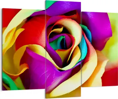 Produktbild von Bild auf Leinwand - Leinwandbild - Blume Farbe Rose - 130x100cm - Wand Bild - Wanddeko - Leinwanddruck - Bilder - Kunstdruck - Wanddekoration - Leinwand bilder - Wandkunst - CB130x100-3623