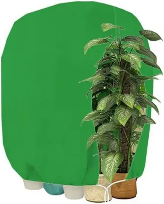 Image de Couverture hivernale pour plantes 120x180cm Vert - Respirant & Résistant à la déchirure