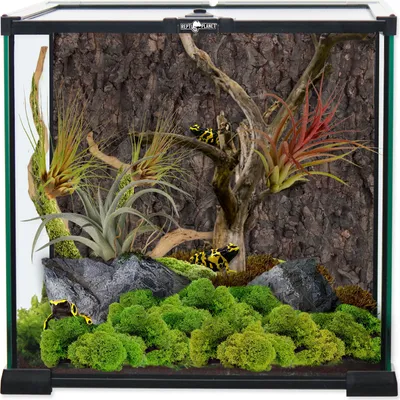 Image de Terrarium en verre 30 x 30 x 30 cm 1 pc