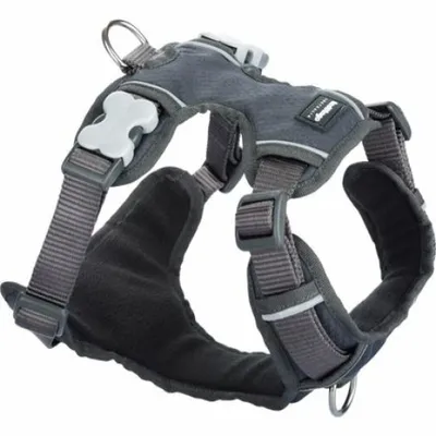 Image de Harnais pour chien Red Dingo rembourré Gris Taille M