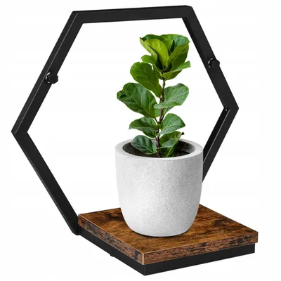 Image de Etagère métal pot de fleur noir Honung Loft rustique