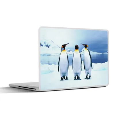 Produktbild von MuchoWow® Laptop Aufkleber Sticker Cover Drei Pinguine Porträt 25x18 cm - Laptop-Deko
