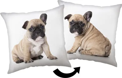 Produktbild von Bulldog Kopfkissen (1 Stück) Premium Dekokissen mit beidseitigem Digitaldruck