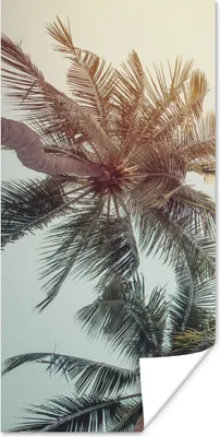 Produktbild von MuchoWow® Poster Palme - Sommer - Tropisch 20x40 cm - Plakat - Foto