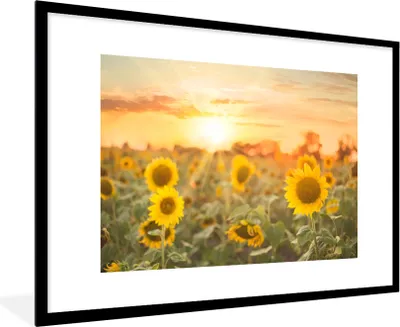 Produktbild von MuchoWow® Gerahmtes Poster Sonnenblume - Sonne - Blumen 90x60 cm - Poster mit Schwarzem Bilderrahmen Wandposter Rahmen Foto Bilder - Wanddekoration - Fotos